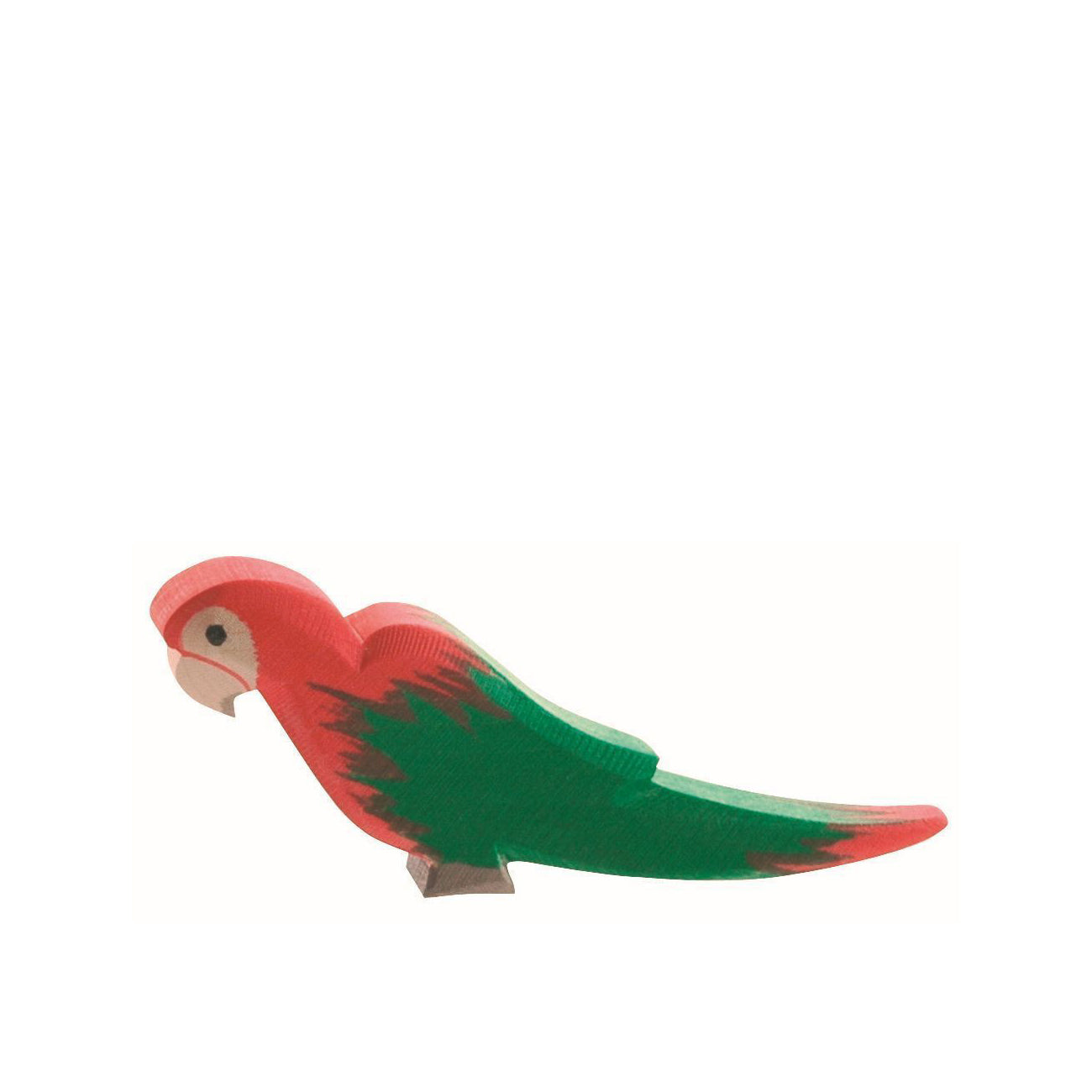 Ostheimer Red Parrot | | Ostheimer | Little Acorn to Mighty Oaks