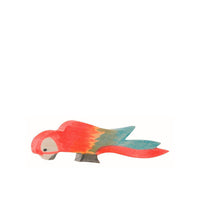 Ostheimer Multicoloured Parrot | | Ostheimer | Little Acorn to Mighty Oaks