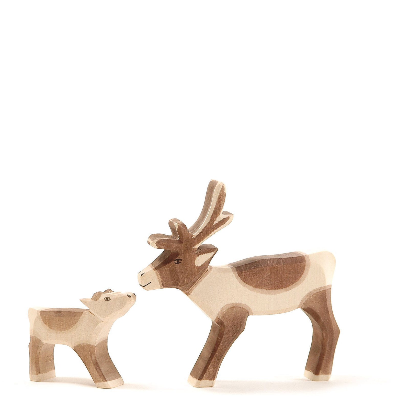 Ostheimer Reindeer Calf | | Ostheimer | Little Acorn to Mighty Oaks