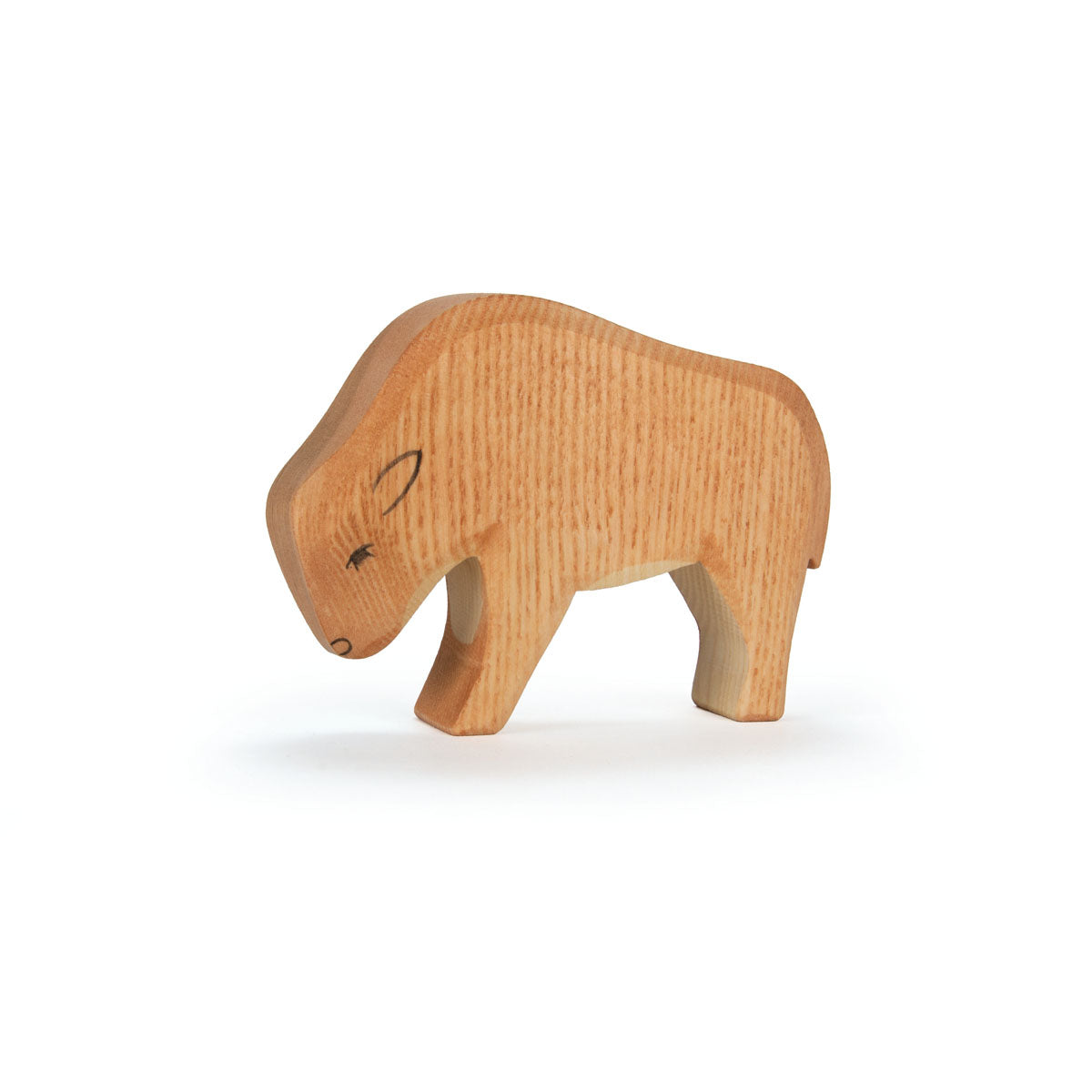 Ostheimer Bison Calf | | Ostheimer | Little Acorn to Mighty Oaks