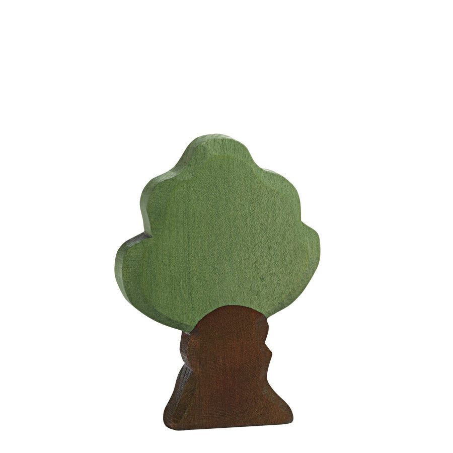 Ostheimer Oak | | Ostheimer | Little Acorn to Mighty Oaks