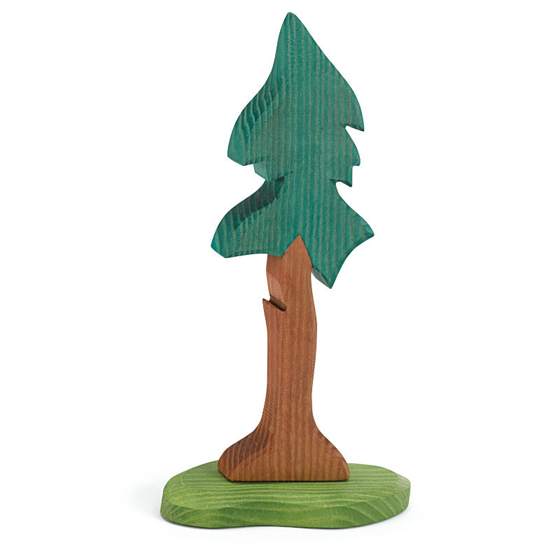 Ostheimer Tall Spruce with Support | | Ostheimer | Little Acorn to Mighty Oaks