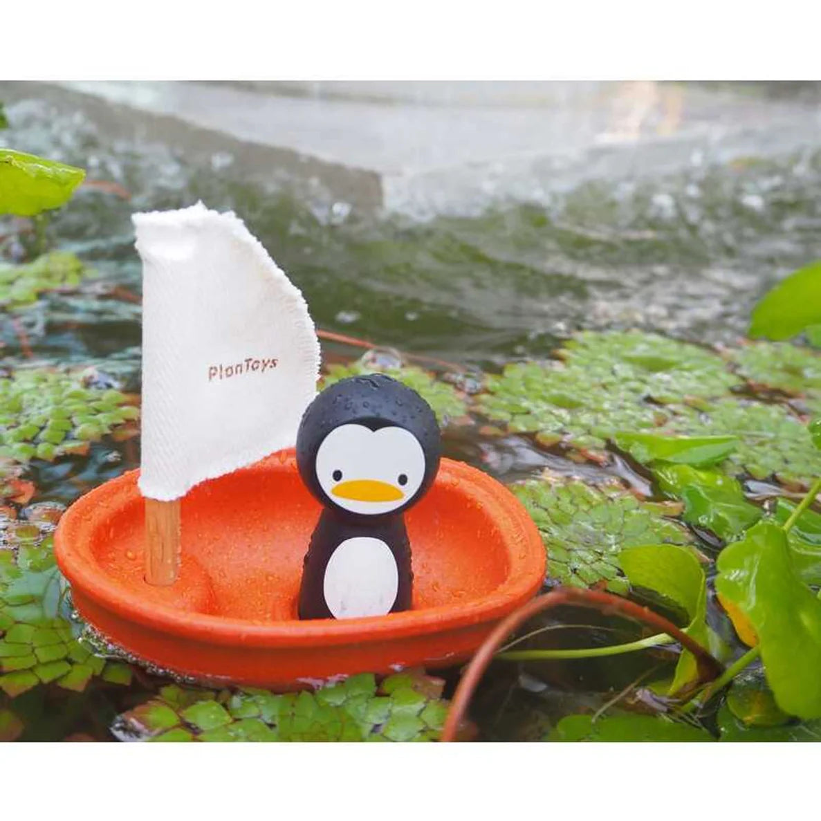 Plan Toys Rubberwood Sail Boat - Penguin | | Plan Toys | Little Acorn to Mighty Oaks