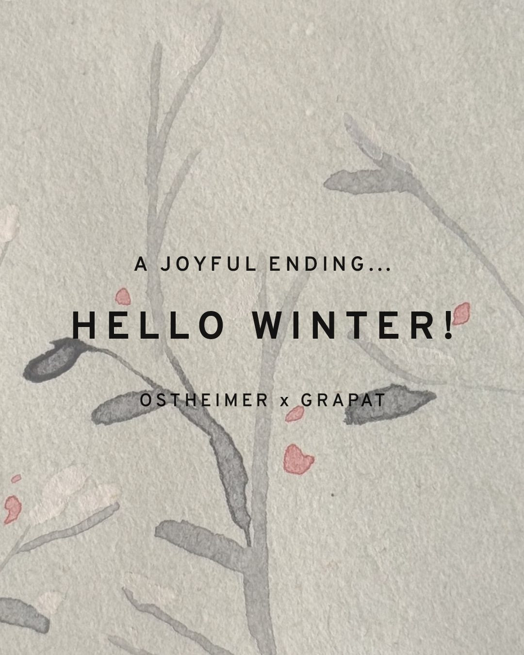 Ostheimer x Grapat Hello Winter | | Grapat | Little Acorn to Mighty Oaks