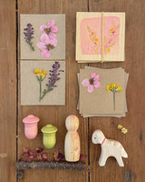 Ostheimer x Grapat Hello Spring | | Grapat | Little Acorn to Mighty Oaks