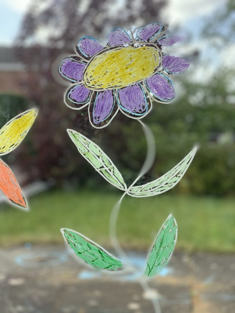 Kitpas Window Crayons - Large 12 Colours | | Kitpas | Little Acorn to Mighty Oaks