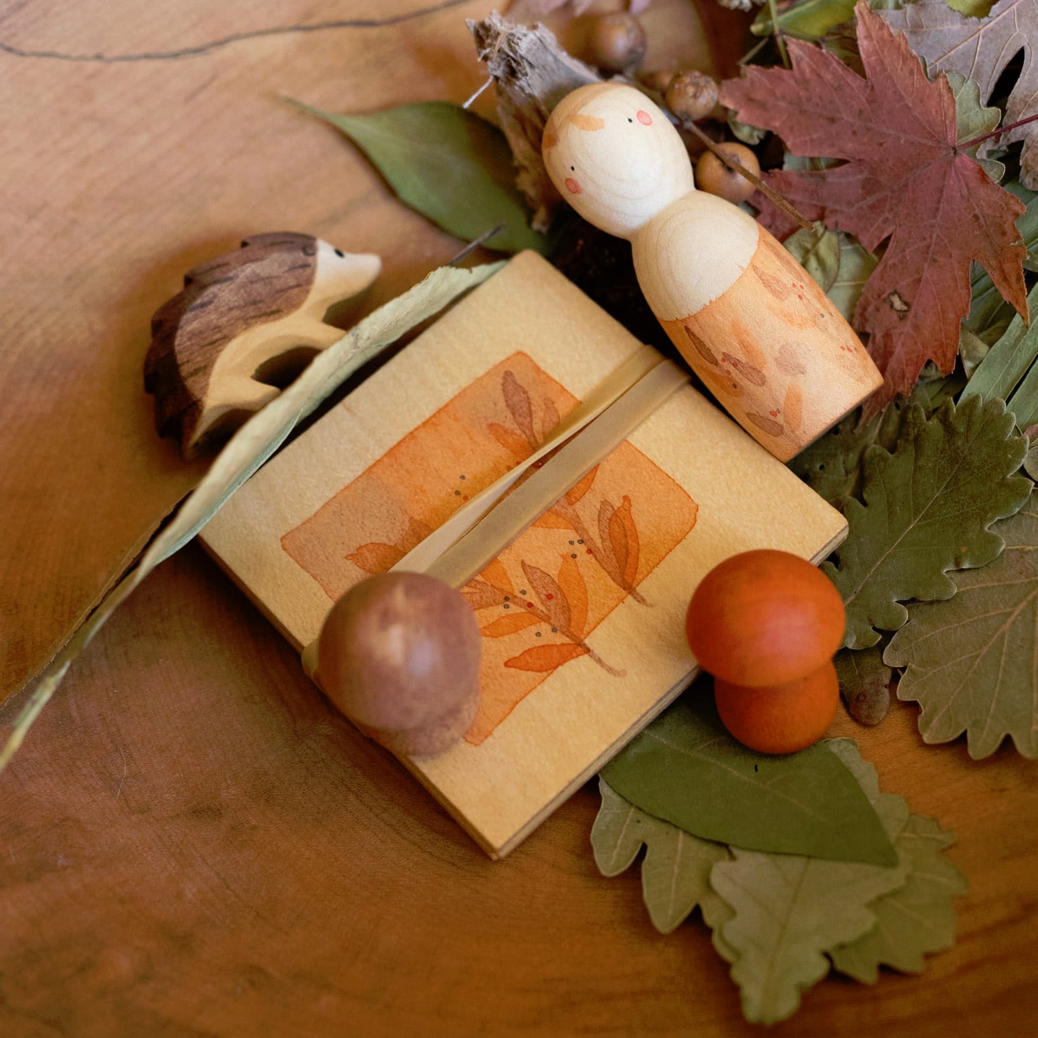 Ostheimer x Grapat Hello Autumn | | Grapat | Little Acorn to Mighty Oaks