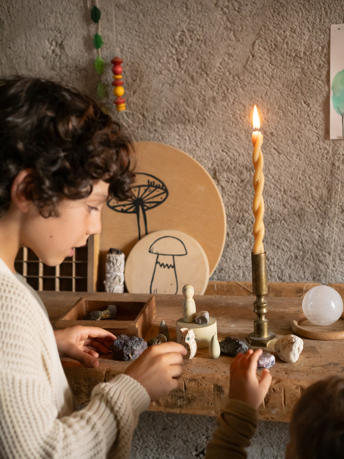 Ostheimer x Grapat Hello Winter | | Grapat | Little Acorn to Mighty Oaks
