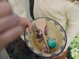 Grapat Aurora Eggs | | Grapat | Little Acorn to Mighty Oaks