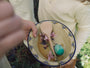 Grapat Aurora Eggs | | Grapat | Little Acorn to Mighty Oaks