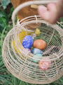 Grapat Aurora Eggs | | Grapat | Little Acorn to Mighty Oaks