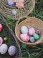 Grapat Aurora Eggs | | Grapat | Little Acorn to Mighty Oaks