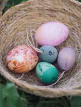 Grapat Aurora Eggs | | Grapat | Little Acorn to Mighty Oaks