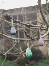 Grapat Aurora Eggs | | Grapat | Little Acorn to Mighty Oaks