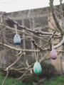 Grapat Aurora Eggs | | Grapat | Little Acorn to Mighty Oaks