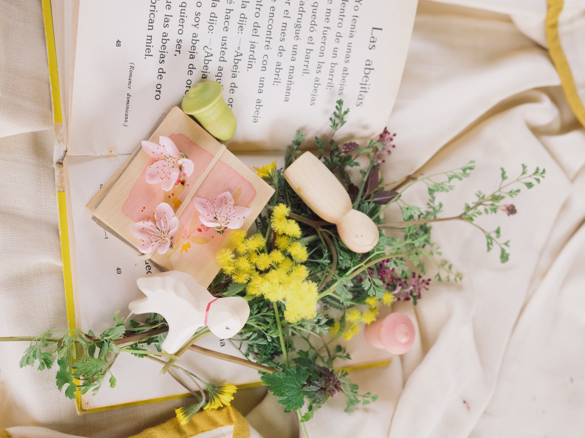 Ostheimer x Grapat Hello Spring | | Grapat | Little Acorn to Mighty Oaks
