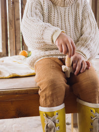 Ostheimer x Grapat Hello Spring | | Grapat | Little Acorn to Mighty Oaks
