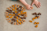 Grapat Mandala Brown Mushrooms | | Grapat | Little Acorn to Mighty Oaks