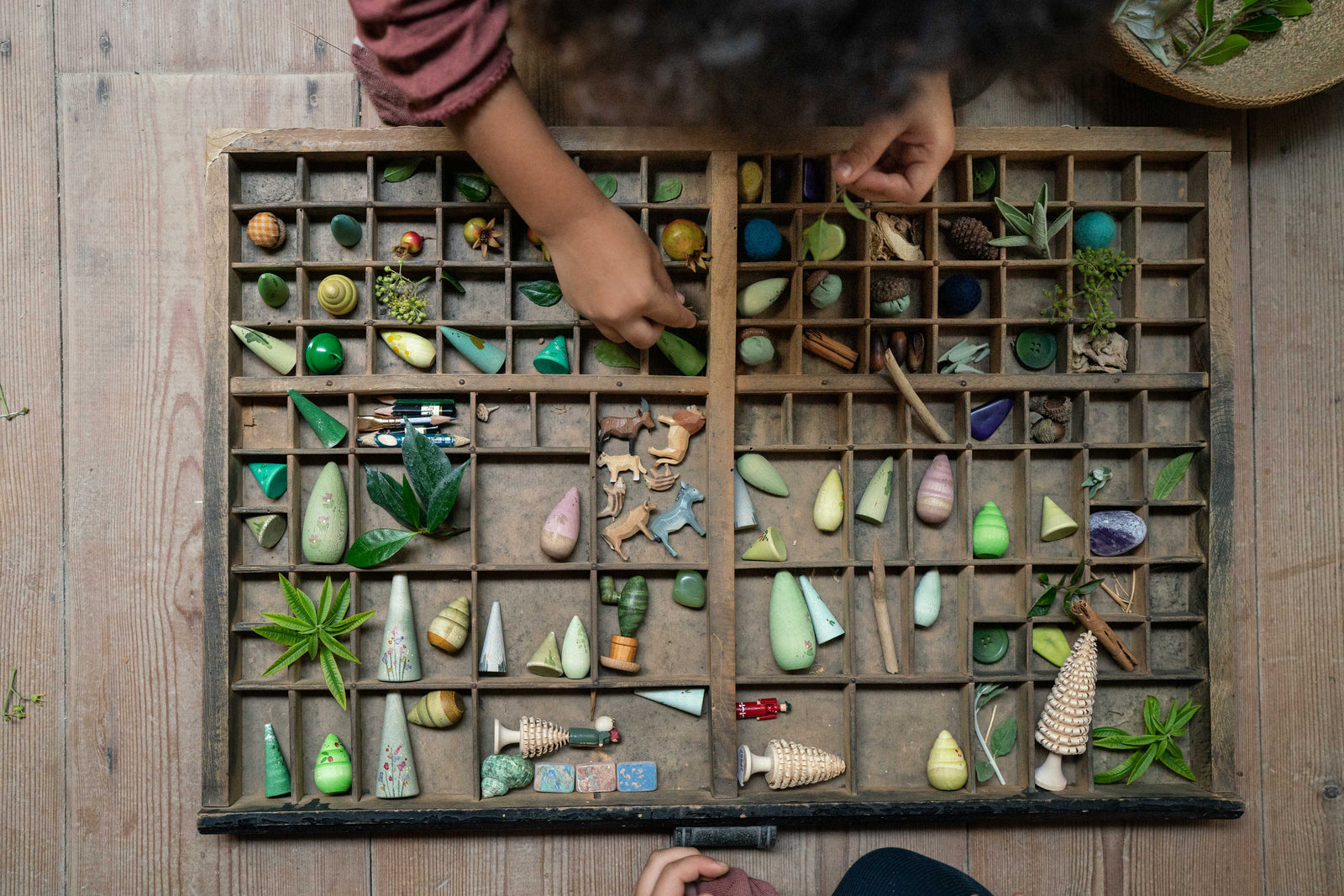 Grapat - Forest Trees | | Grapat | Little Acorn to Mighty Oaks