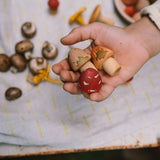 Grapat - Mushroom Grove | | Grapat | Little Acorn to Mighty Oaks