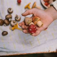 Grapat - Mushroom Grove | | Grapat | Little Acorn to Mighty Oaks