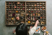 Grapat - Mushroom Grove | | Grapat | Little Acorn to Mighty Oaks