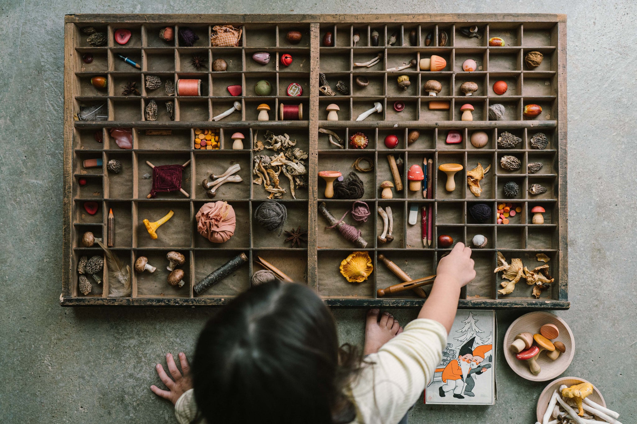 Grapat - Mushroom Grove | | Grapat | Little Acorn to Mighty Oaks