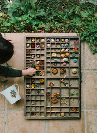 Grapat - Flower Meadow | | Grapat | Little Acorn to Mighty Oaks