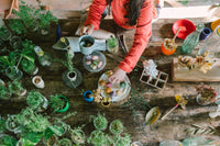 Grapat - Flower Meadow | | Grapat | Little Acorn to Mighty Oaks