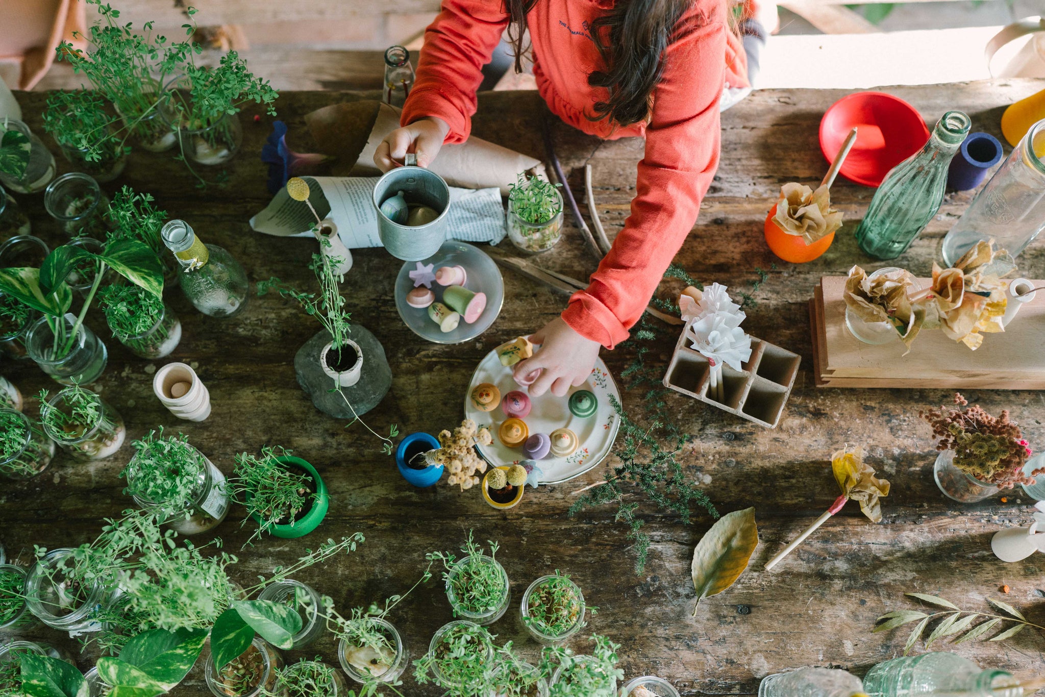 Grapat - Flower Meadow | | Grapat | Little Acorn to Mighty Oaks