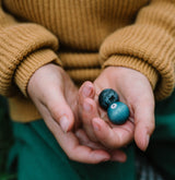 Grapat - Fruits | | Grapat | Little Acorn to Mighty Oaks