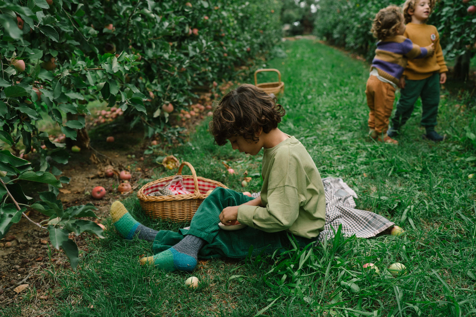 Grapat - Fruits | | Grapat | Little Acorn to Mighty Oaks
