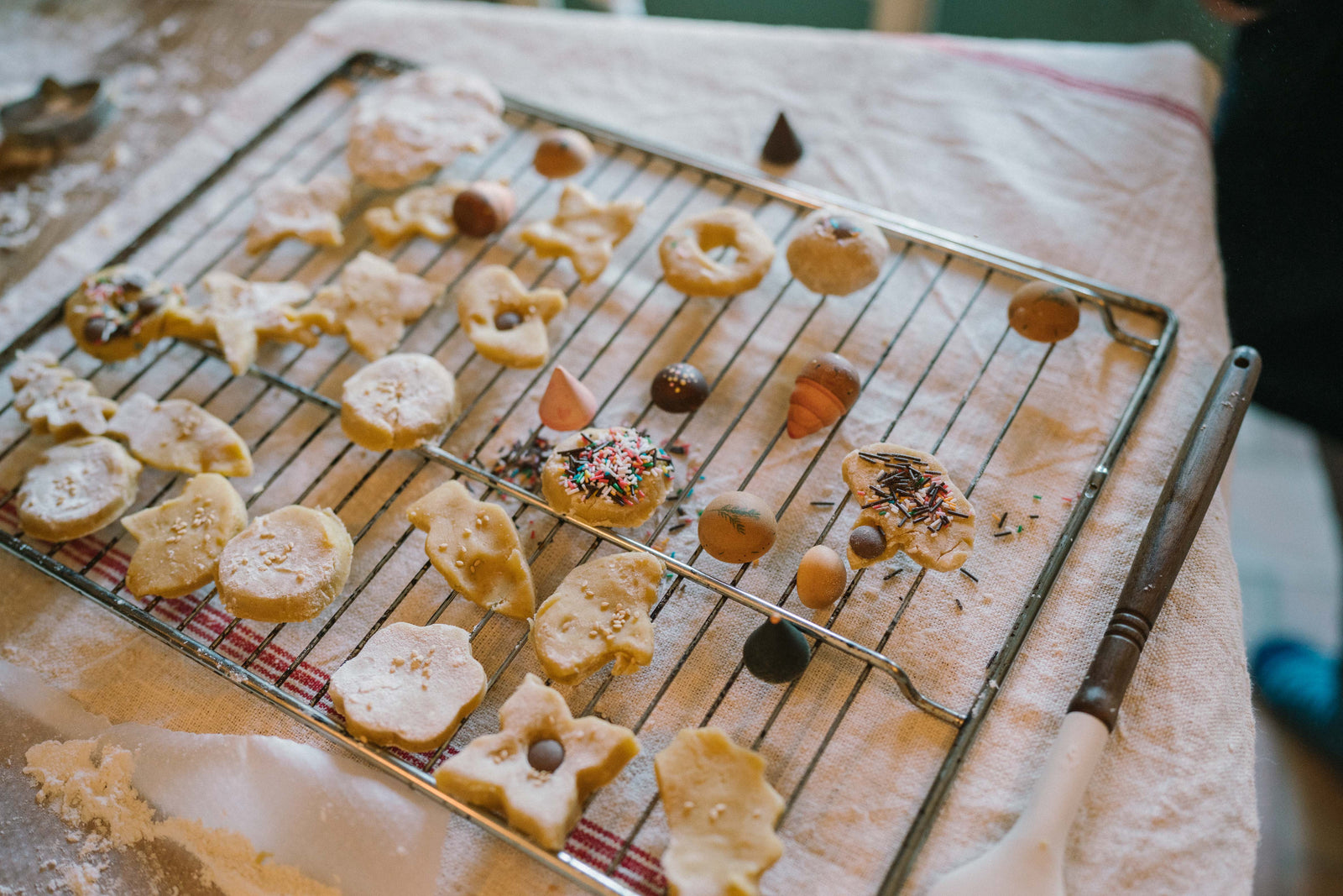 Grapat - Bakes | | Grapat | Little Acorn to Mighty Oaks