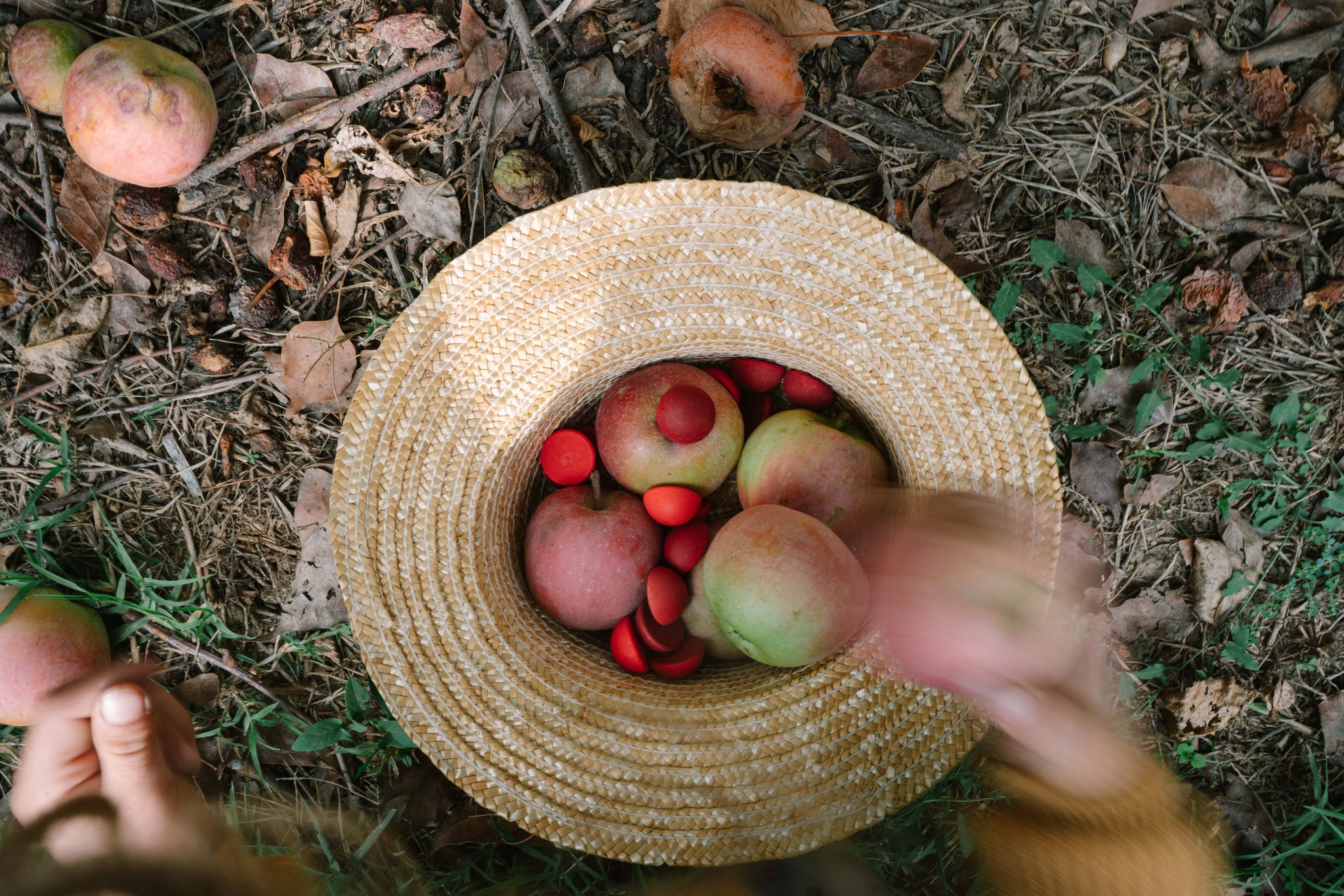 Grapat Mandala Half Spheres | | Grapat | Little Acorn to Mighty Oaks