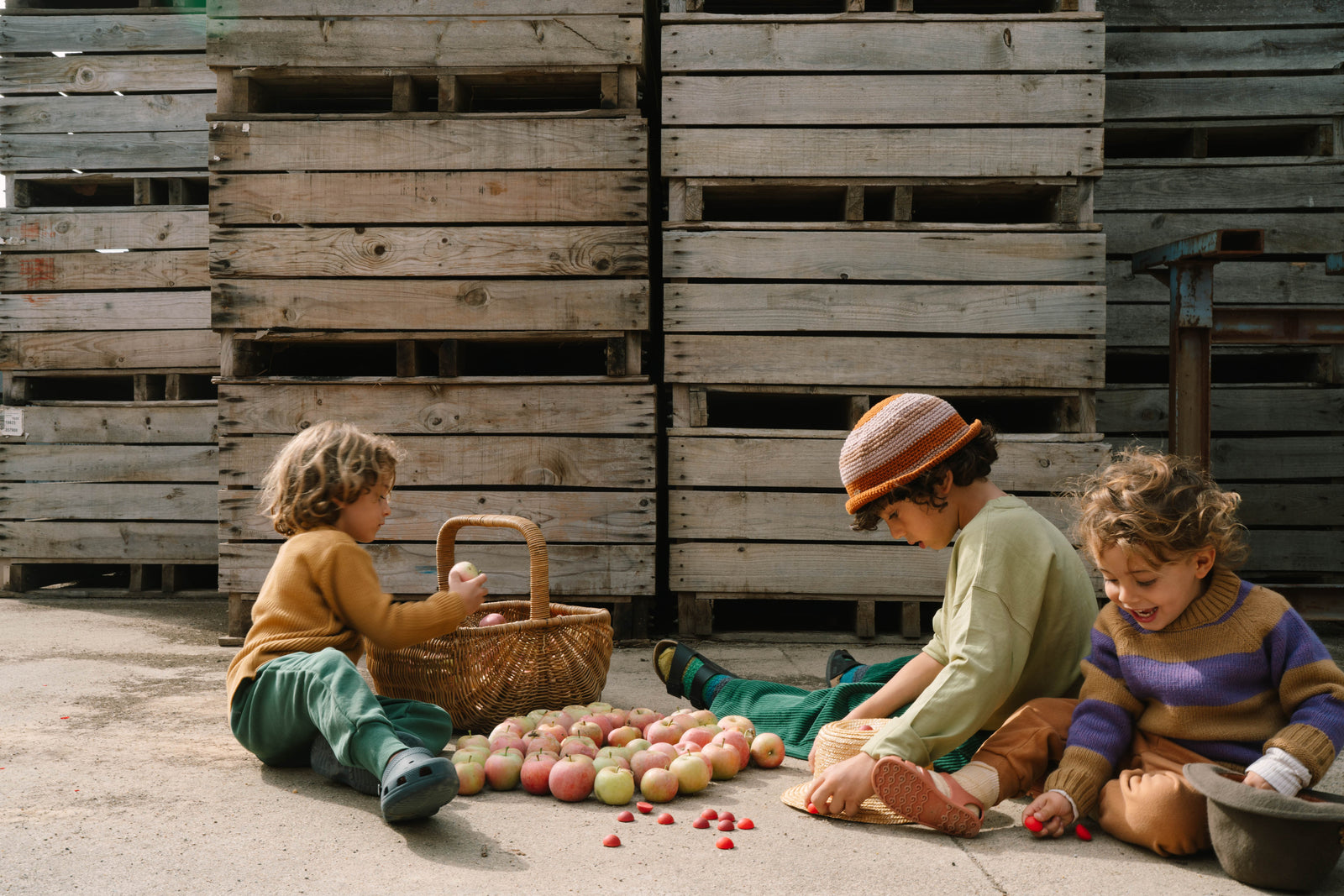 Grapat Mandala Half Spheres | | Grapat | Little Acorn to Mighty Oaks