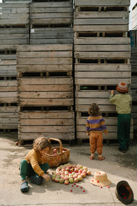Grapat Mandala Half Spheres | | Grapat | Little Acorn to Mighty Oaks