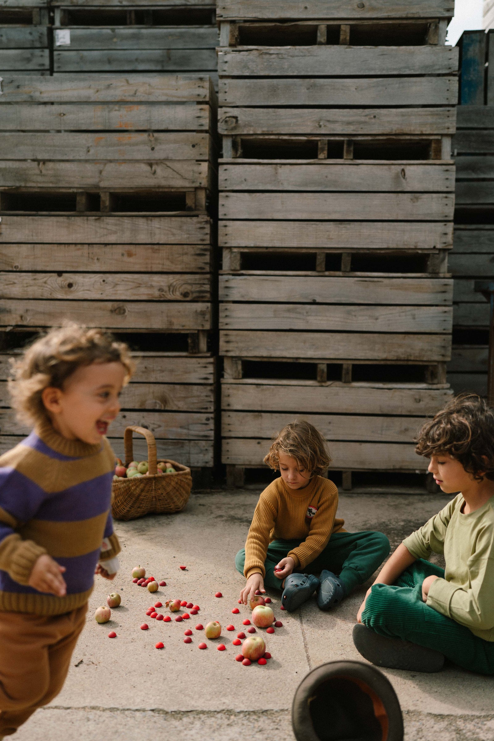 Grapat Mandala Half Spheres | | Grapat | Little Acorn to Mighty Oaks