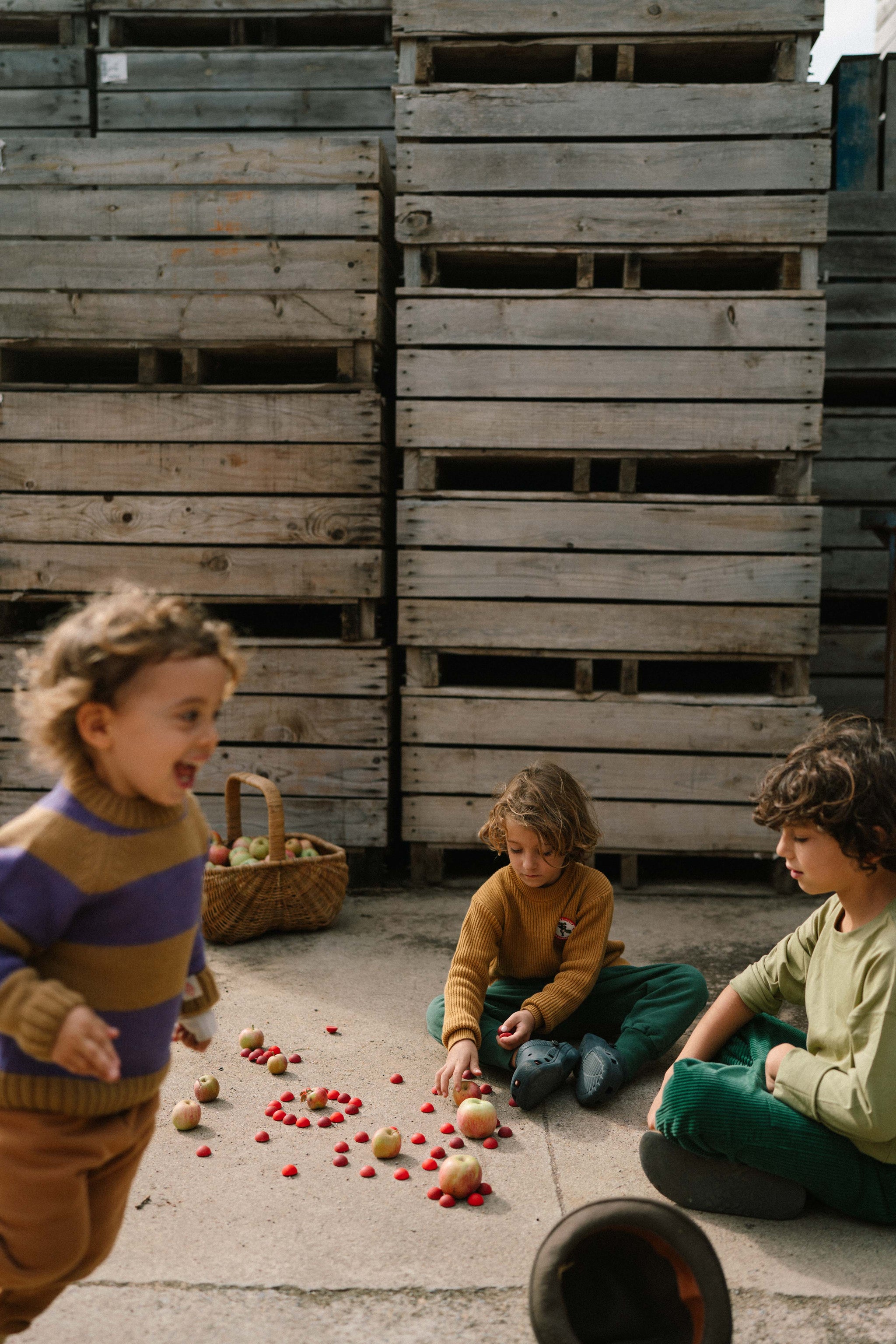 Grapat Mandala Half Spheres | | Grapat | Little Acorn to Mighty Oaks