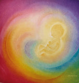 Baukje Exler - Womb Toverlux Silhouette | Toy | Toverlux | Little Acorn to Mighty Oaks