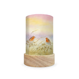 Toverlux Lantern Shades - Baukje Quiet Early Mornings - Pack of 5 | Toy | Toverlux | Little Acorn to Mighty Oaks