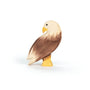 Ostheimer Bald Eagle Standing | | Ostheimer | Little Acorn to Mighty Oaks