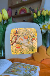 StoryLux - The Sun Egg - 5 Toverlux Silhouettes | Toy | Toverlux | Little Acorn to Mighty Oaks