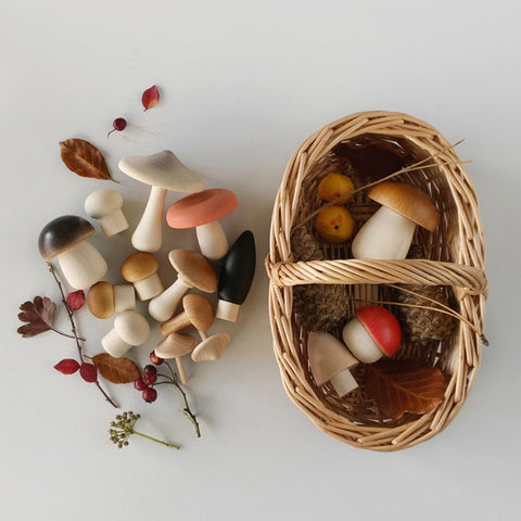 Moon Picnic - Forest Mushrooms Basket