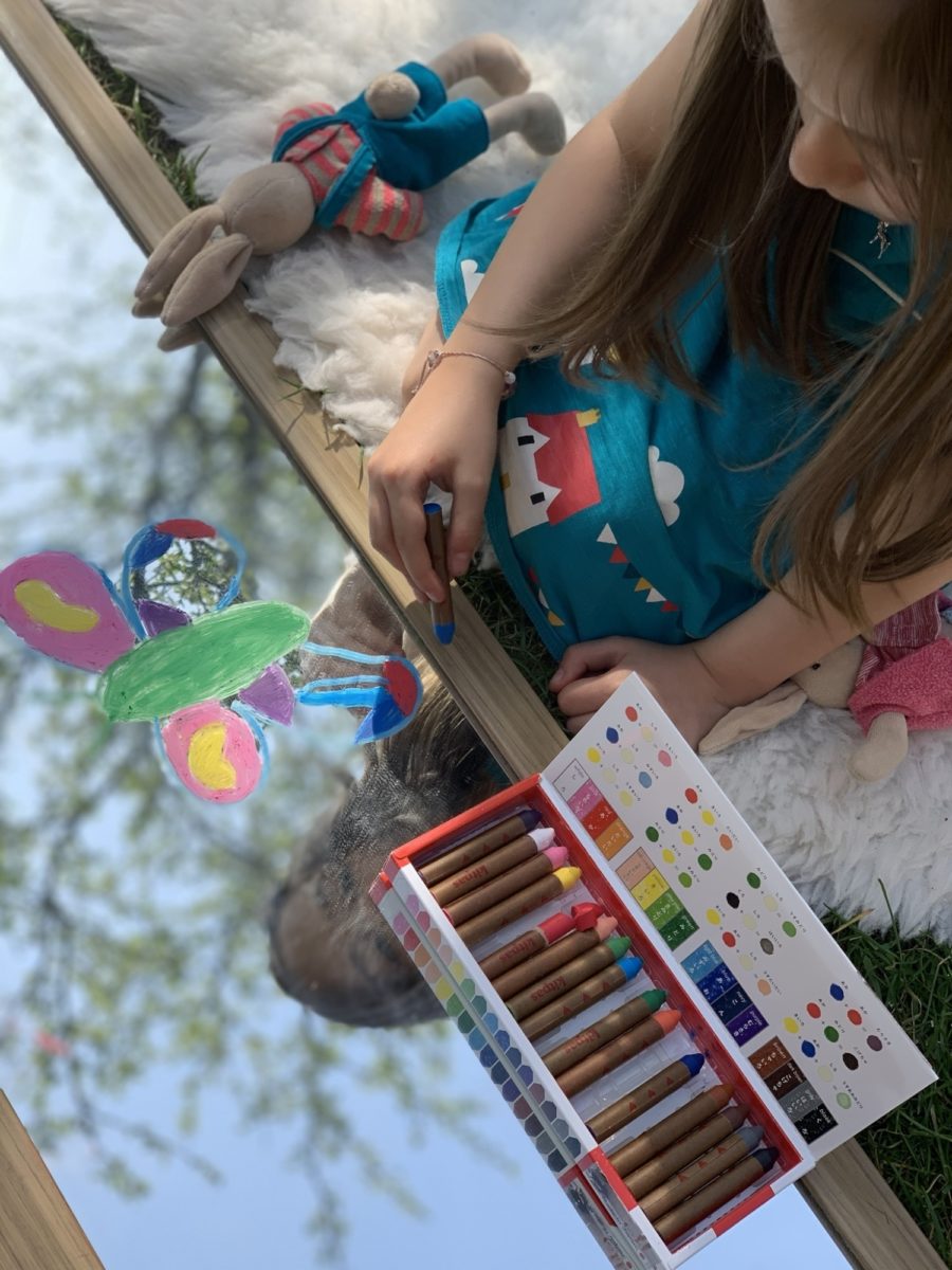Kitpas Window Crayons - Medium 24 Colours | | Kitpas | Little Acorn to Mighty Oaks