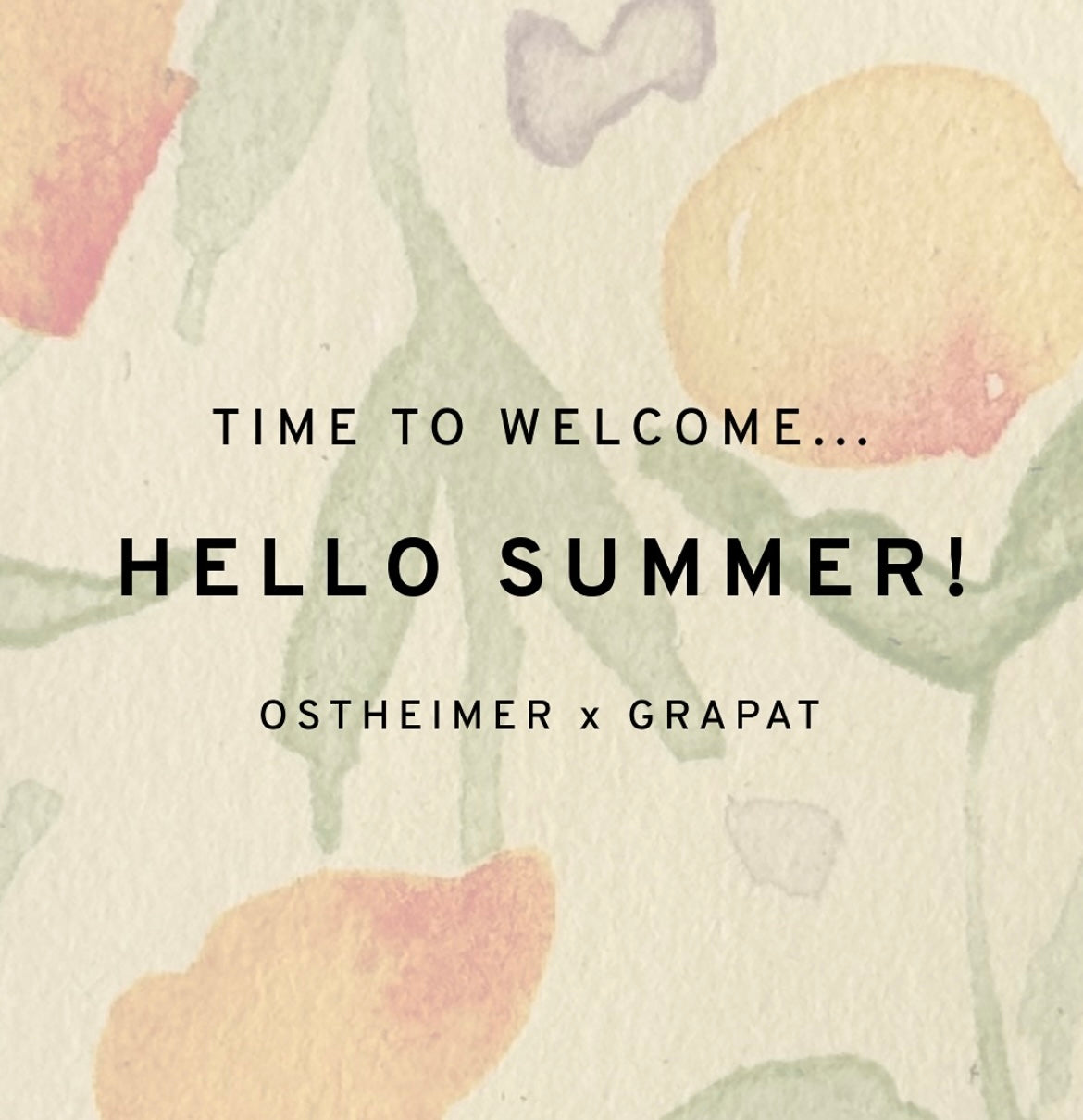 Ostheimer x Grapat Hello Summer | | Grapat | Little Acorn to Mighty Oaks