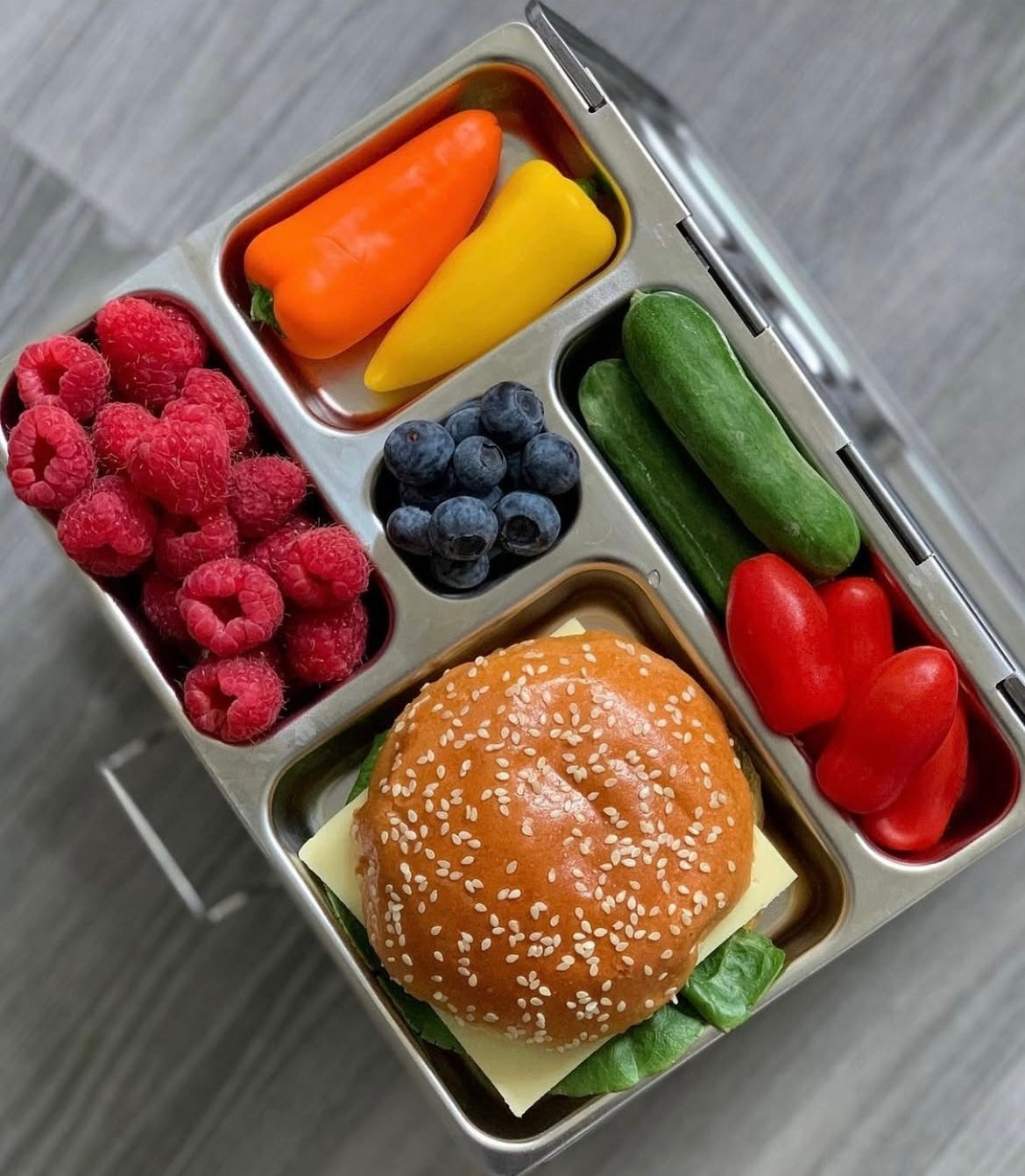 PlanetBox Stainless Steel Rover LunchBox | | PlanetBox | Little Acorn to Mighty Oaks