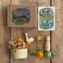 Ostheimer x Grapat Hello Summer | | Grapat | Little Acorn to Mighty Oaks