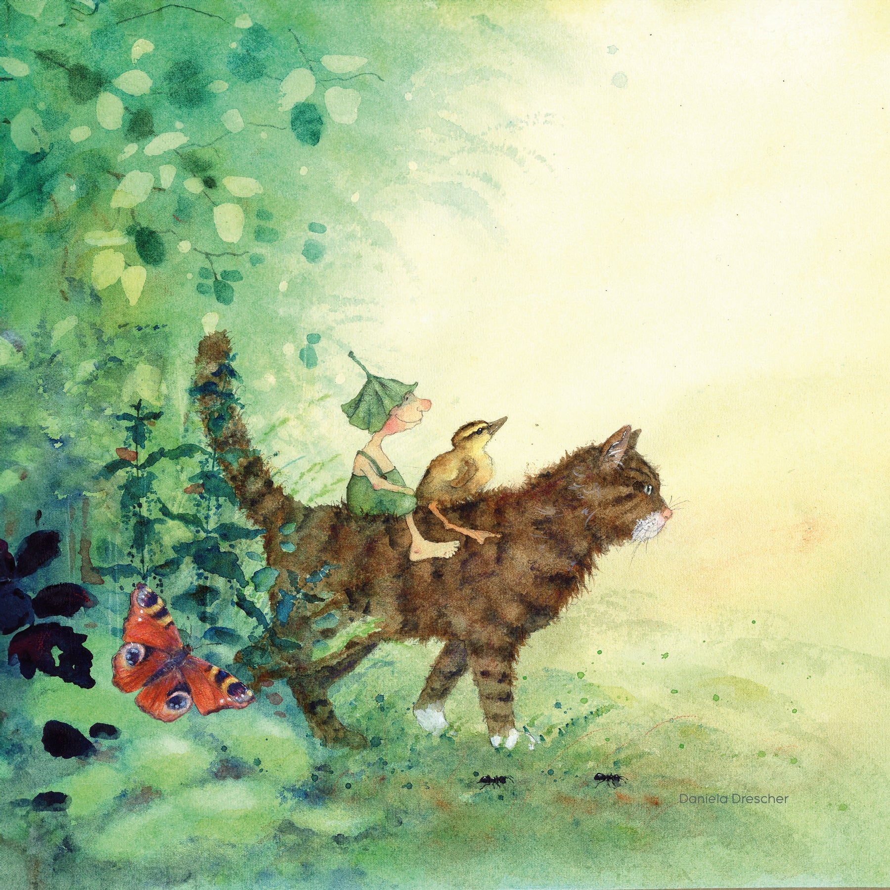 StoryLux - Griswald and the Babbling Brook - 6 Toverlux Silhouettes | Toy | Toverlux | Little Acorn to Mighty Oaks