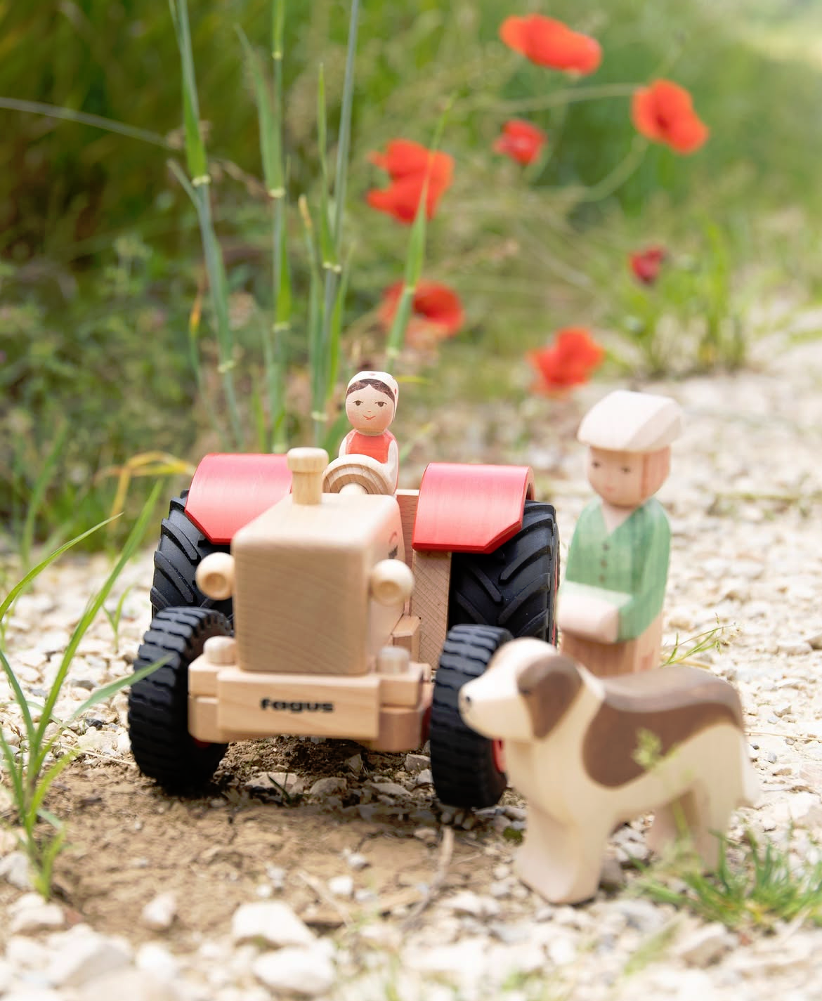 Ostheimer x Fagus Tractor "Friends by nature"