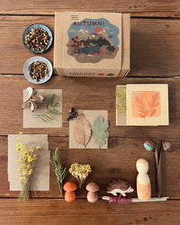Ostheimer x Grapat Hello Autumn | | Grapat | Little Acorn to Mighty Oaks